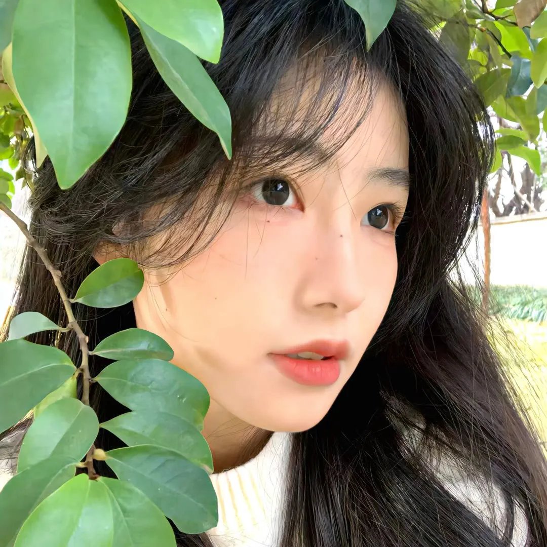 机械危情